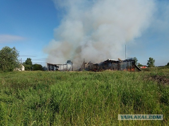 Жизнь городских окраин