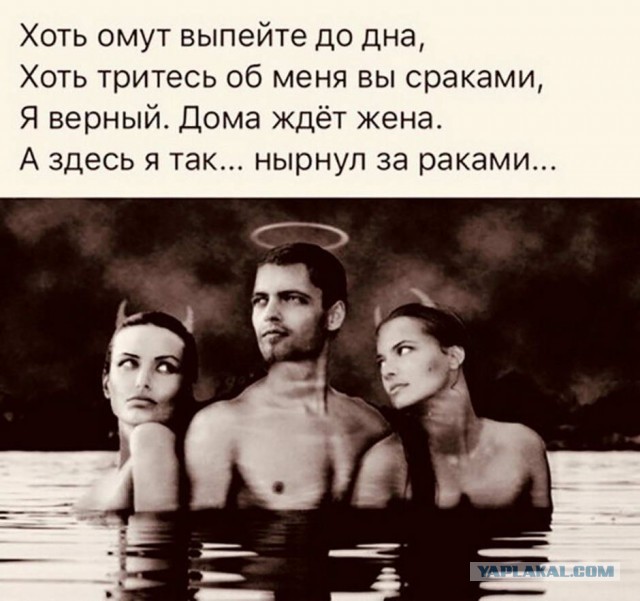 Спелость vs Зрелость