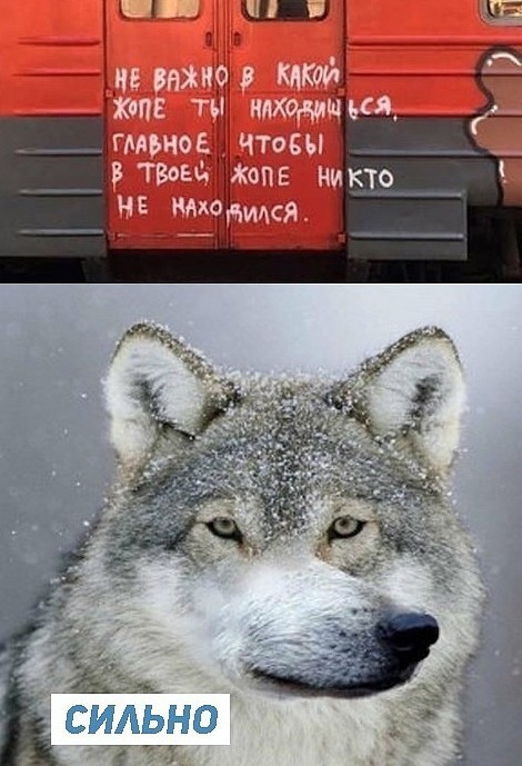 Картинки с надписями и всякие жизненные фразы 23.04.21