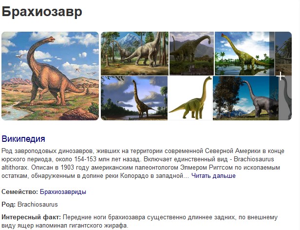 Девушка подстригла кошке шею, чтобы она стала красивее...