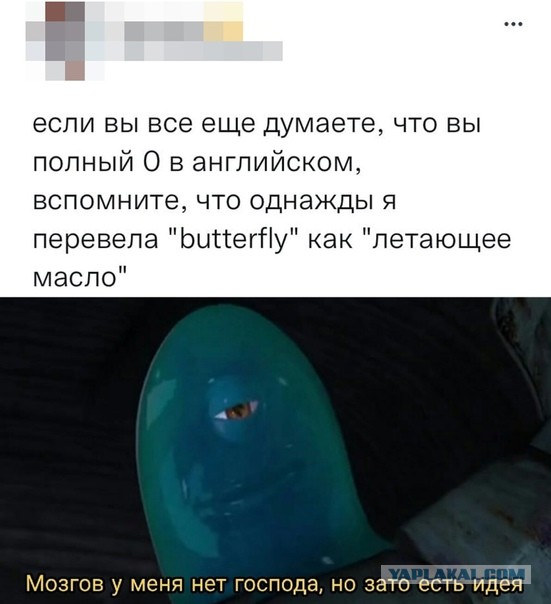 Весёлый полтишок 27.12