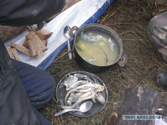 Обычная рыбалка