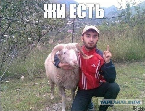 Петербуржец подрался с пятью приезжими и получил две пули в плечо