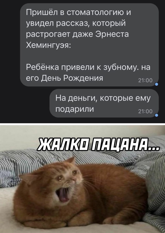 Картинки и мемы для настроения. Выходные близко...