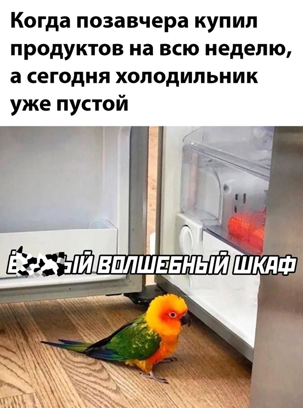 Картинки и мемы для настроения. Выходные рядышком...