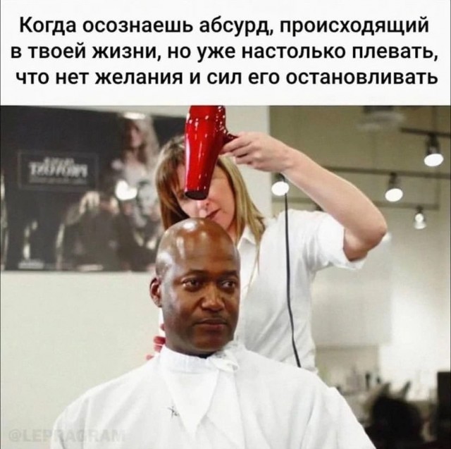 Отвлечься от дичи в жизни. Дичь в картинках