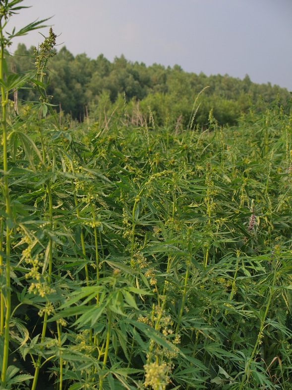 Путешествие на ВАЗе