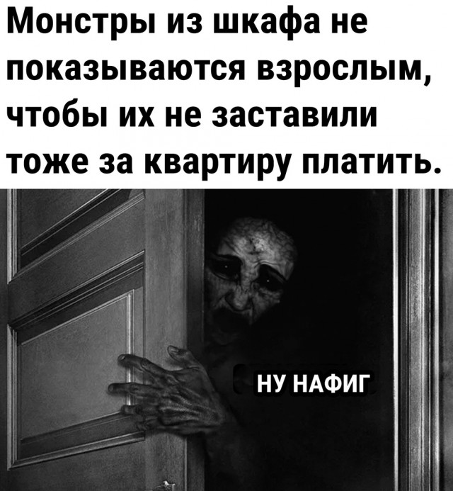 Весёлый полтишок 26.12.2022