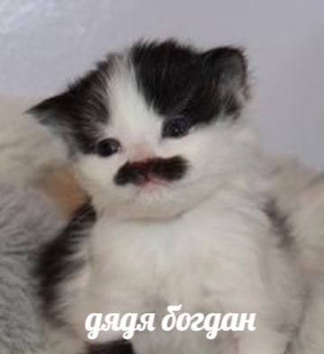 Народная меДИЧина 2002