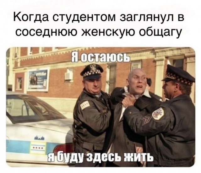 Картинки и мемы для настроения - 187
