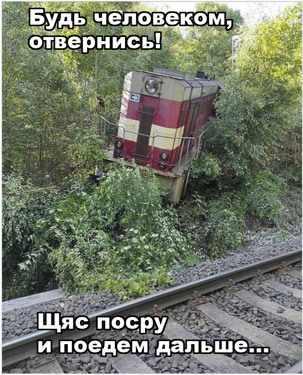 Прикольные и просто красивые картинки 06.06.2023