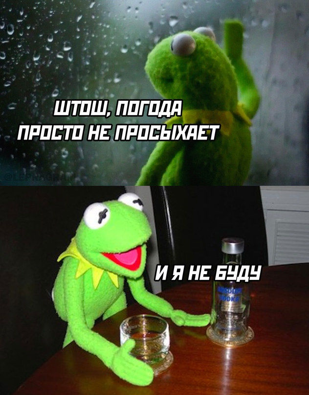 Прикольные и просто красивые картинки 14.07.2023
