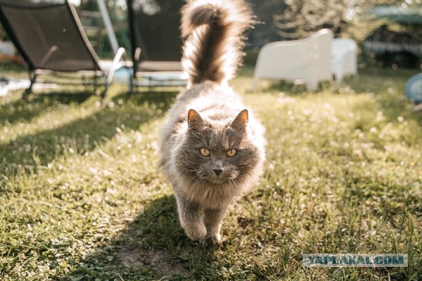 Имидж ничто — жажда всё