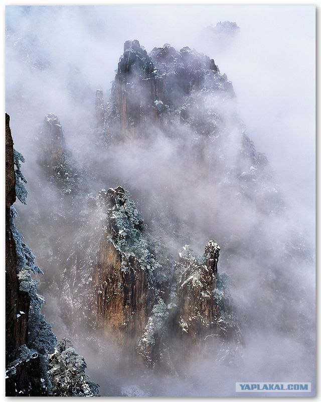 Фотограф Leping Zha