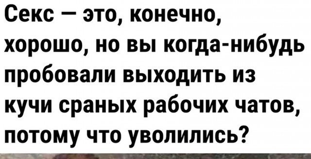 Так себе картинки 18.09.23