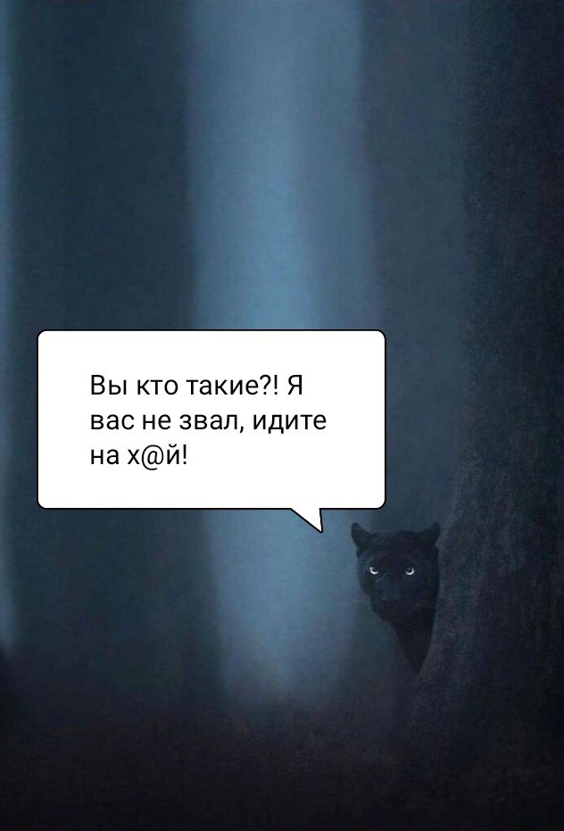 В Индии сфотографировали самую стеснительную пантеру — фотограф следовал за ней несколько недель ради нескольких кадров