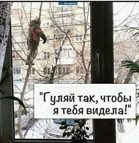 Так себе картинки 23.12.23