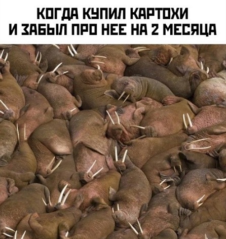 Ремонт в доме - моя страсть!