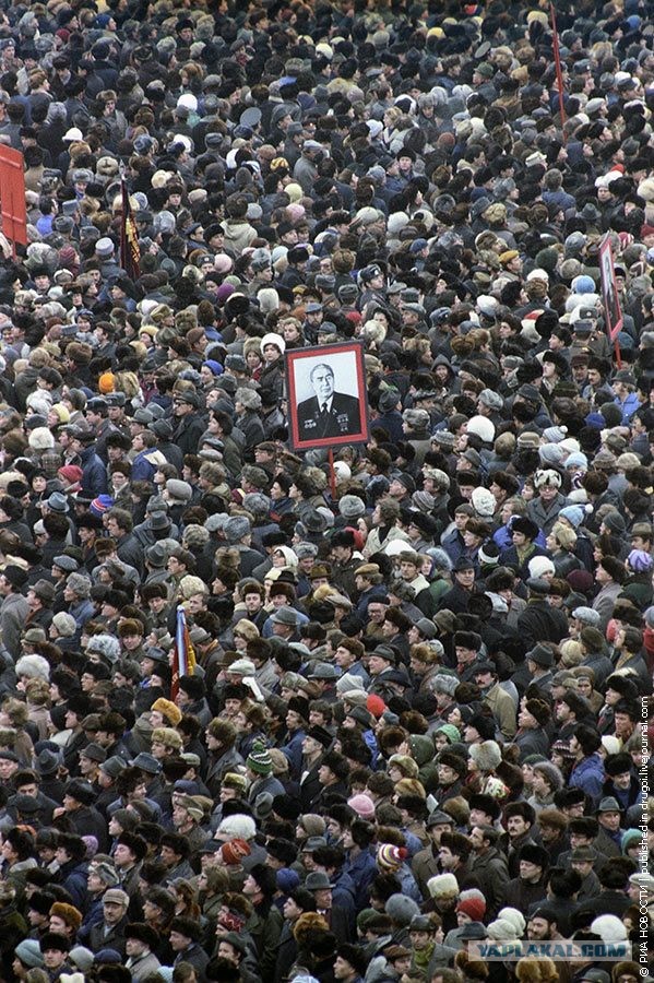 2 гвоздики товарищу Сталину