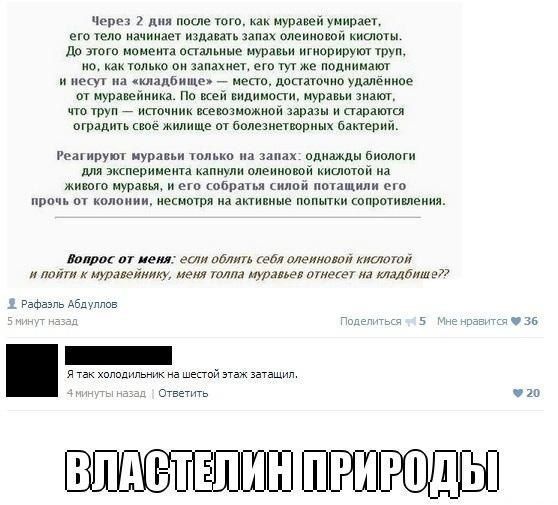 Картинки и буквы 13.06.2024