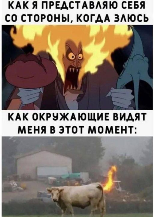 19505742.jpg