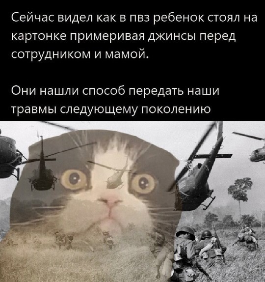 Всего понемногу. От 24.01.25