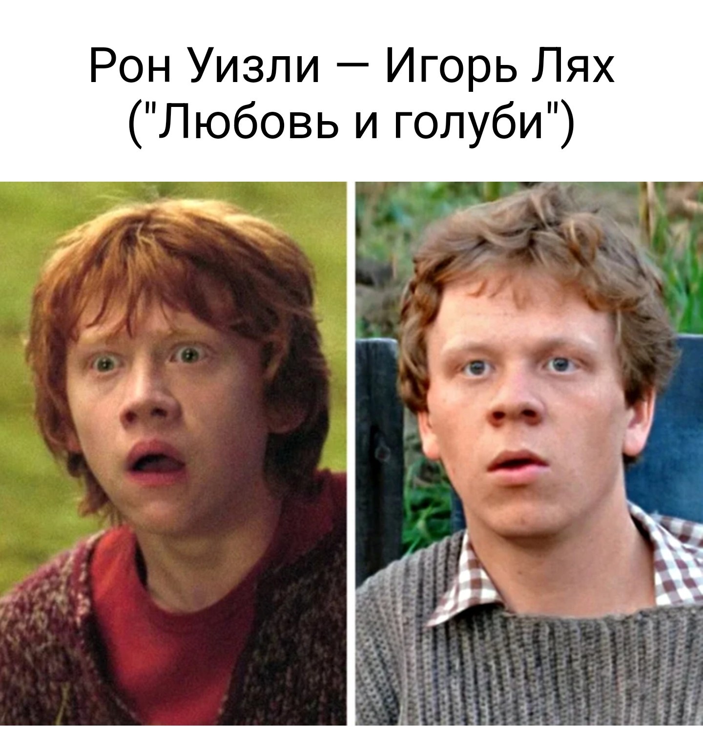 Сенсация! Оказывается, образы героев для для серии фильмов про Гарри Поттера украли из советских фильмов
