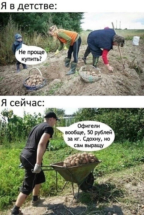 Так себе картинки 25.04.25