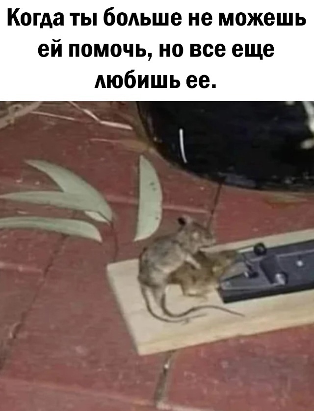 Так себе картинки 12.05.25
