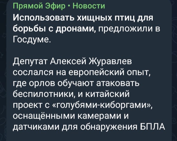 Новая реальность в зоне СВО