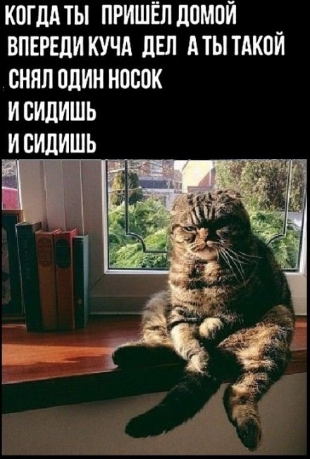 Завалялось тут случайно немного забавных картинок