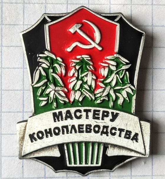 43-летний житель Подмосковья оборудовал в своём доме три теплицы с лампами, вентиляцией и поливом и выращивал коноплю «для себя»