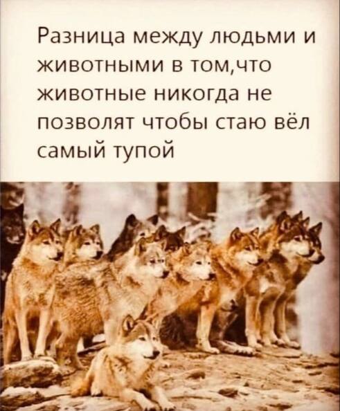 Каартинки весёлые и не очень