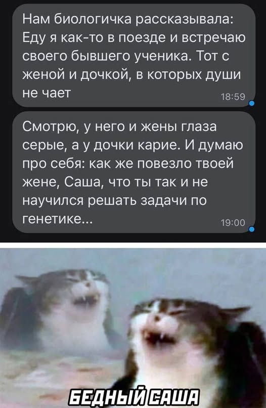 Веселое настроение в картинках (22.10.2025)