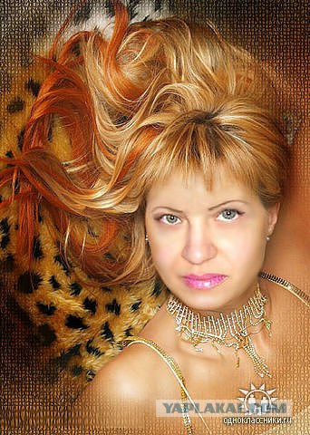 Дикие фото из социальных сетей