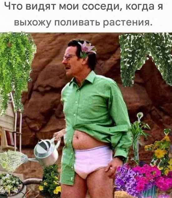 Пятничные бояны