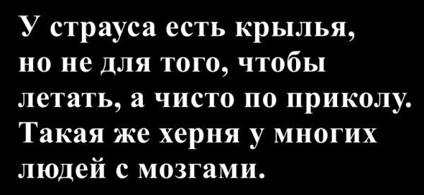 Среды картинки