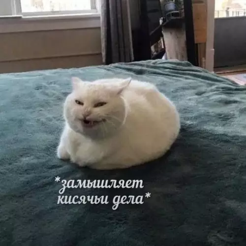 Картиночки, баянчики 09 марта