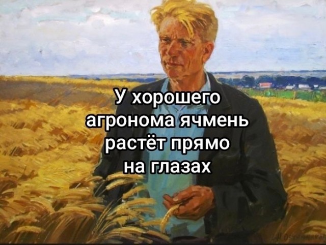 Картинки для деградации 177 (разной степени свежести)