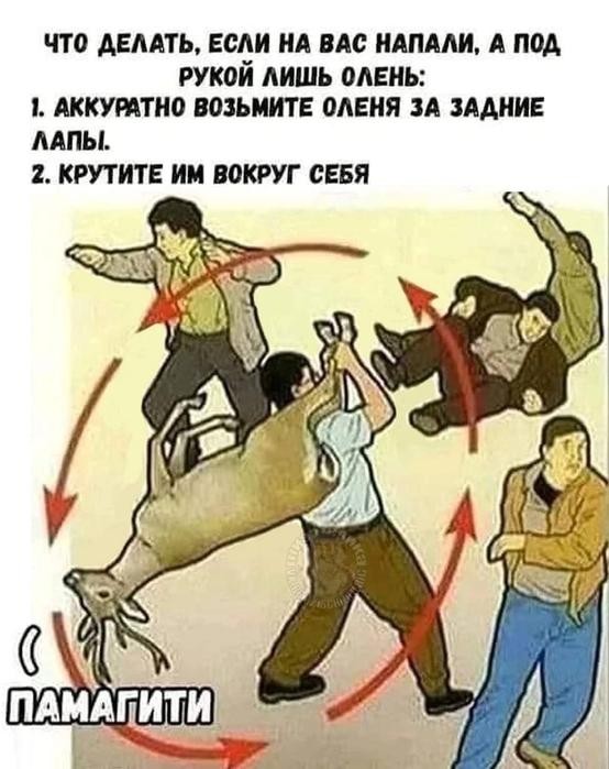 Картинки для деградации 230 (разной степени свежести)