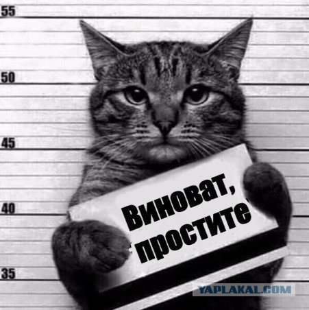Ситуация