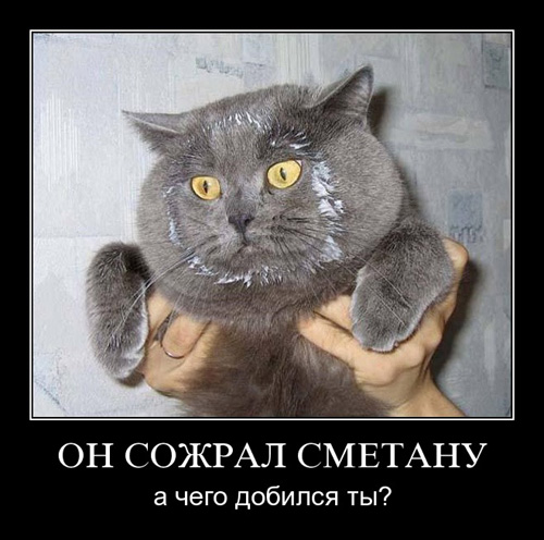 Унываторы (19 фото)
