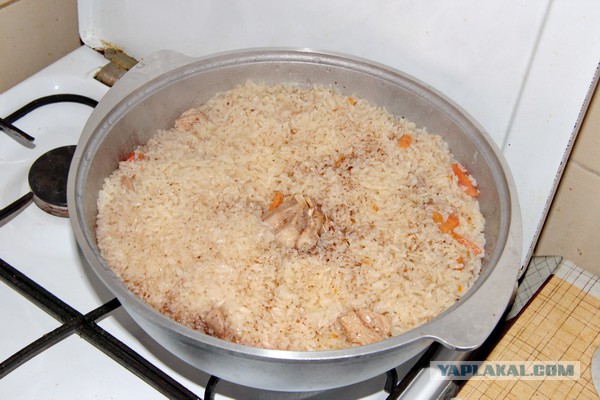 Пловские старания, ... эпическое полотно о Плове...