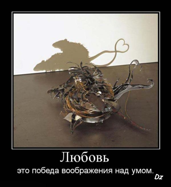 Демотиваторы.