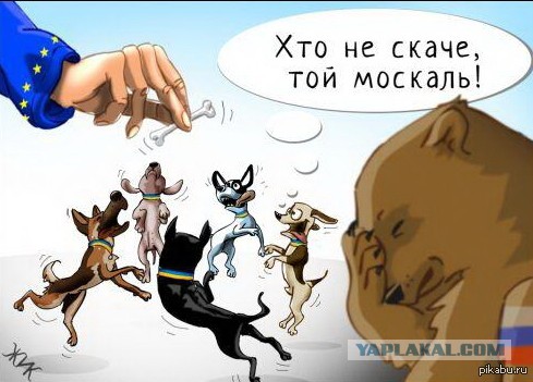 Десяток карикатур