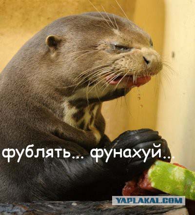 Оно победило на Евровидении