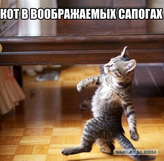 Подборка смешных комментариев.