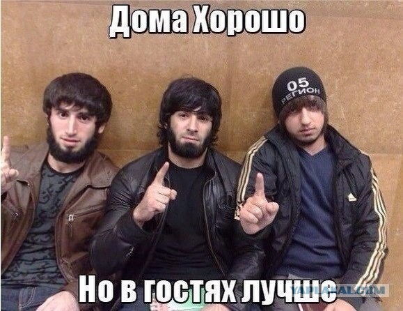 Свежие картинки из сети