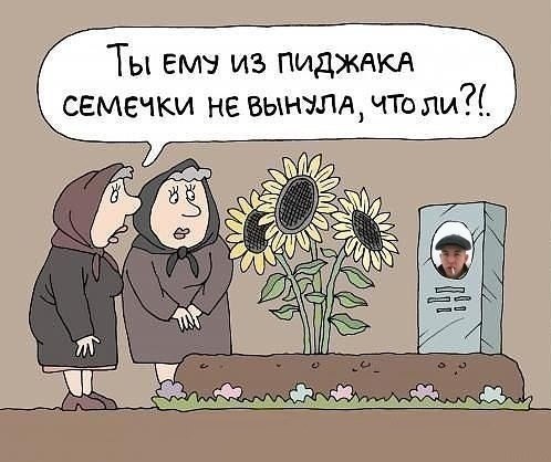 Подборка весёлых картинок