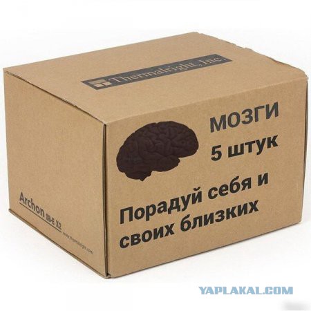 Веселые картинки